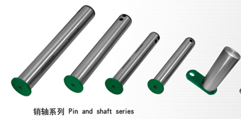 Pin series